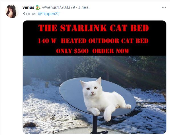 Канадські коти заволоділи супутниковою тарілкою Starlink: Маск уже відреагував (курйозне фото)