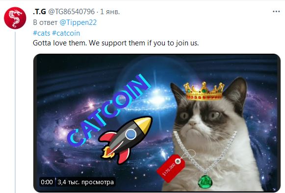 Канадські коти заволоділи супутниковою тарілкою Starlink: Маск уже відреагував (курйозне фото)