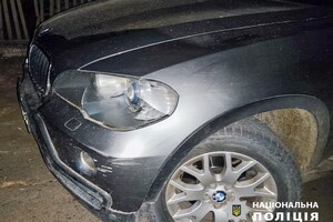 В Одесской области произошло необычное ДТП с участием коровы