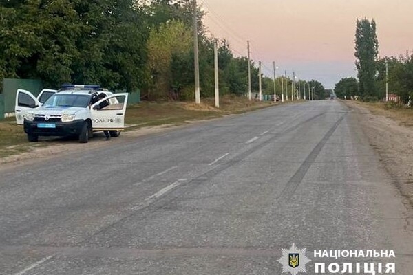 В Одесской области произошло необычное ДТП с участием коровы