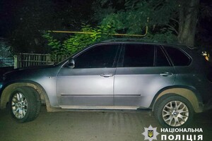 В Одесской области произошло необычное ДТП с участием коровы