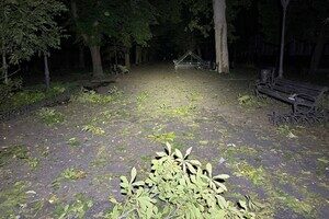 Горит Привоз, есть разрушения в историческом центре: последствия ночного удара по Одессе